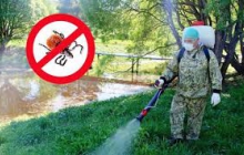 Меры профилактики клещевого энцефалита
