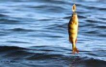 Водные ресурсы