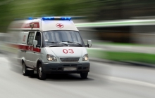 О внимании к аллергии
